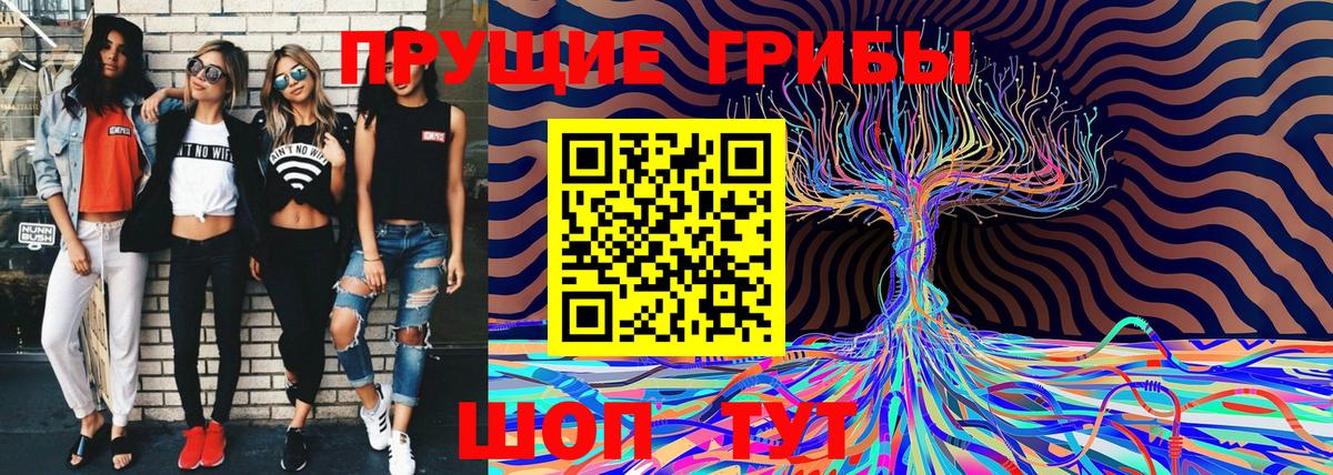 Псилоцибиновые грибы Psilocybine cubensis  наркота  Мытищи  Вход с VPN 